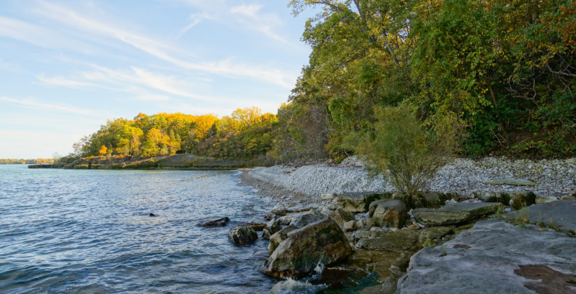 A Step Back in Time: Exploring Ohio's Hidden Gem - North Shore Alvar State Nature Preserve